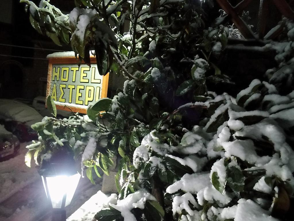 Asteri Metsovou Otel Dış mekan fotoğraf