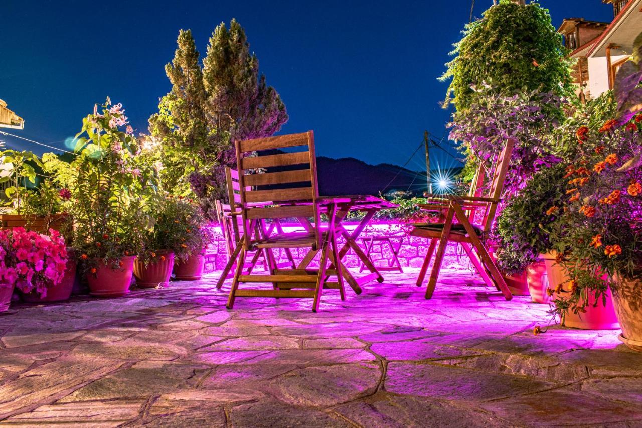 Asteri Metsovou Otel Dış mekan fotoğraf