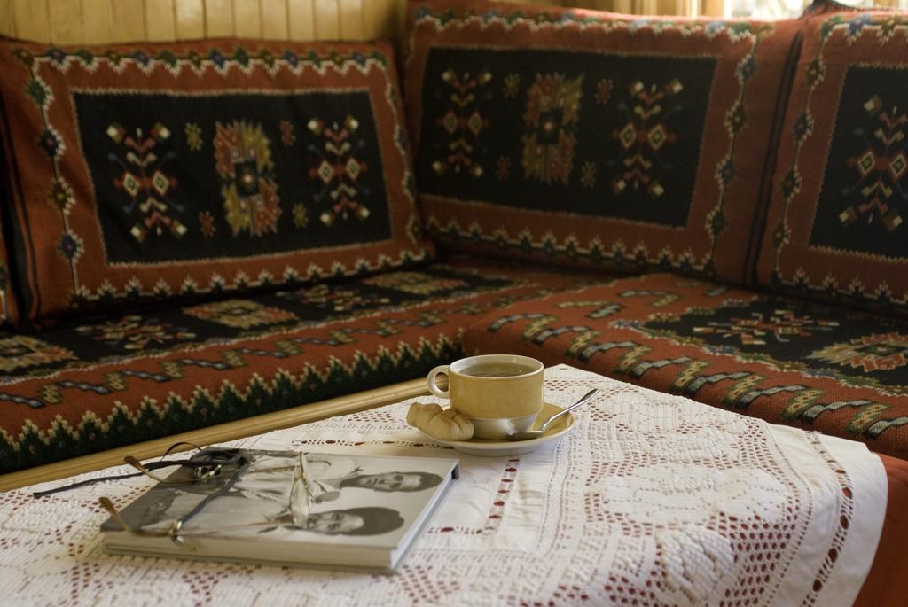 Asteri Metsovou Otel Dış mekan fotoğraf