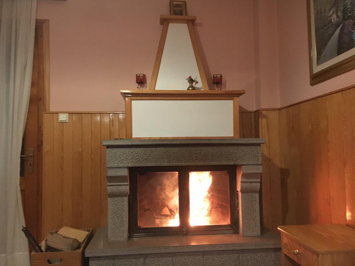 Asteri Metsovou Otel Dış mekan fotoğraf