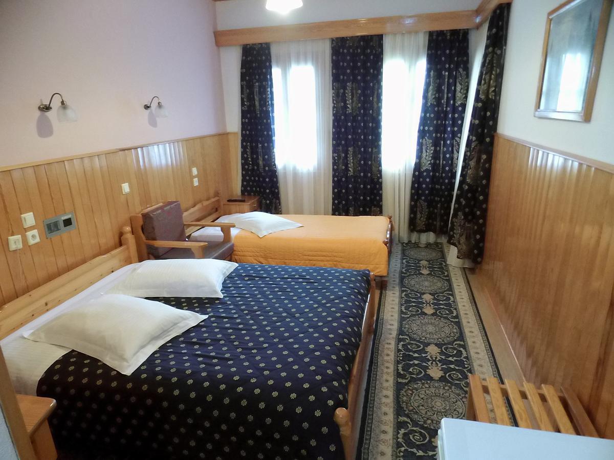 Asteri Metsovou Otel Oda fotoğraf
