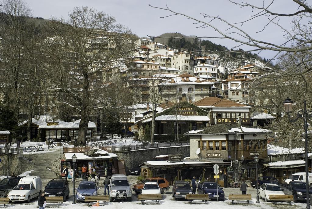 Asteri Metsovou Otel Dış mekan fotoğraf